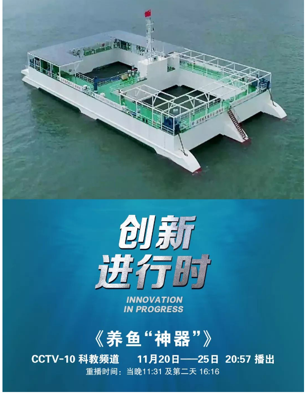 風再猛、浪再大，都攔不住我養(yǎng)魚的雄心！